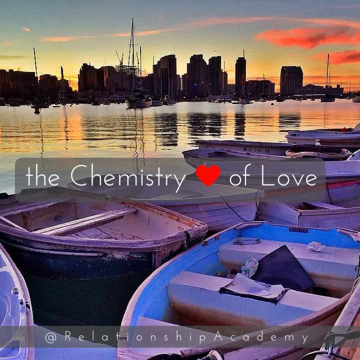 The Chemistry of Love